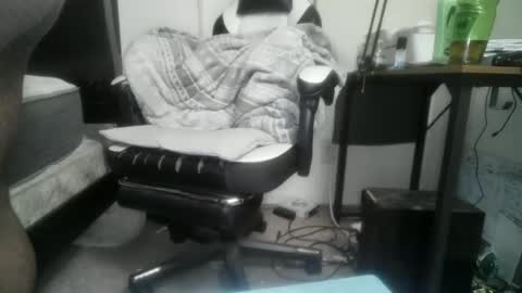 11inchtattedtrinibad online show from 02-17-26, 09:50