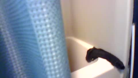 1horneydaddy7279 online show from 07-17-26, 09:05