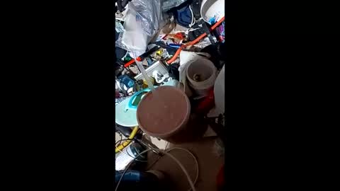 Boy In Sisters Clothes online show from 12-27-24, 11:50