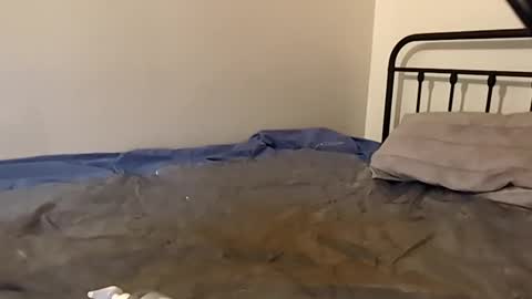 Snapshot of 1toxiclust chatting on 11-29-25, 02:36 1toxiclust online show from 11-29-25, 02:36