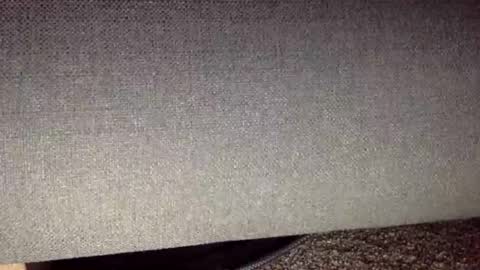 30nick online show from 04-13-26, 05:02