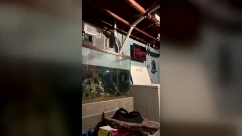 Snapshot of 33adidas chatting on 03-19-26, 08:18 33adidas online show from 03-19-26, 08:18