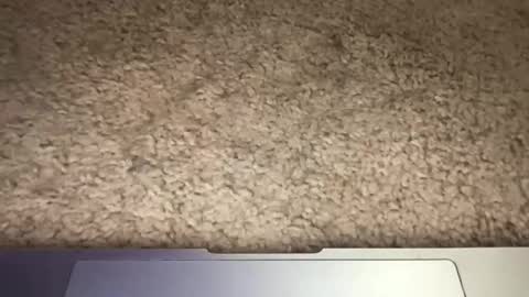 Snapshot of 3dging_sub chatting on 03-13-26, 03:24 3dging_sub online show from 03-13-26, 03:24