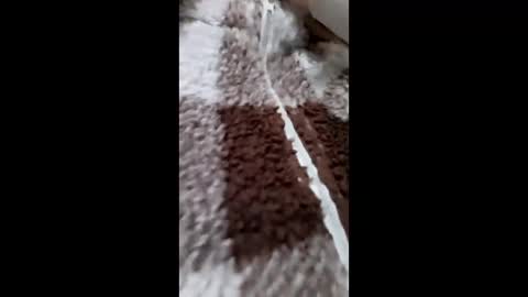 3X NAXAA online show from 02-15-26, 01:20