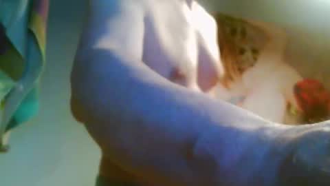 41bigdick41 online show from 04-08-26, 03:45