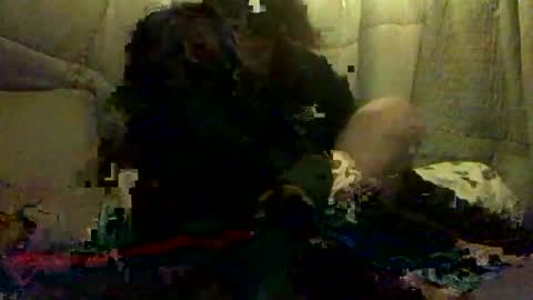 420alwayshard online show from 04-19-26, 11:31