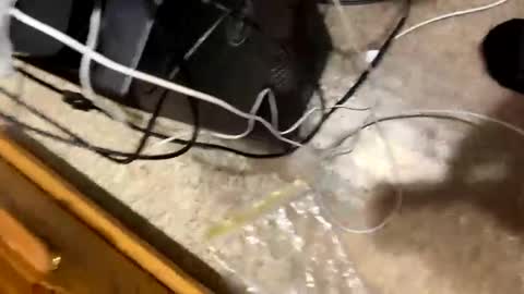 420bbwlover online show from 01-04-25, 03:17