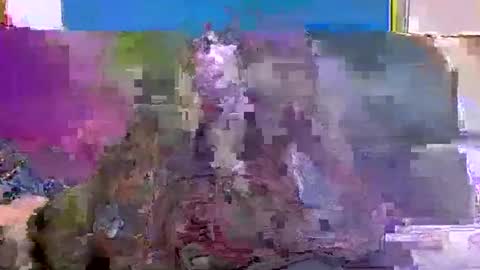 Snapshot of 4nuf chatting on 01-15-25, 07:48 4nuf online show from 01-15-25, 07:48