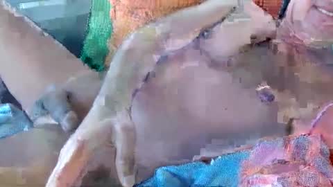 Daddy online show from 11-17-25, 10:59