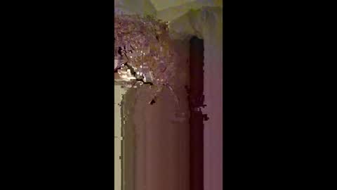 Snapshot of 60zeus60 chatting on 02-22-26, 03:40 Zeus online show from 02-22-26, 03:40