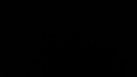 SHANNON online show from 12-11-24, 04:09