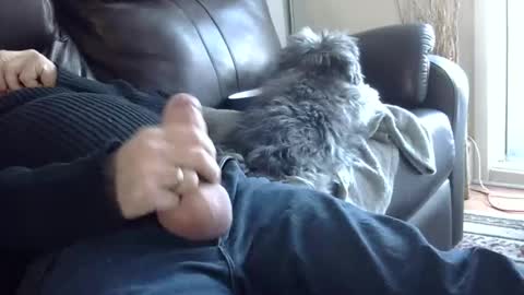 66bear online show from 03-02-25, 10:05