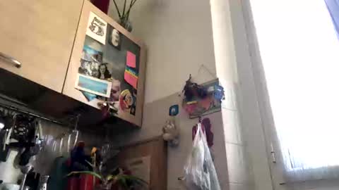 Snapshot of 6990fiko chatting on 03-04-25, 12:55 6990fiko online show from 03-04-25, 12:55