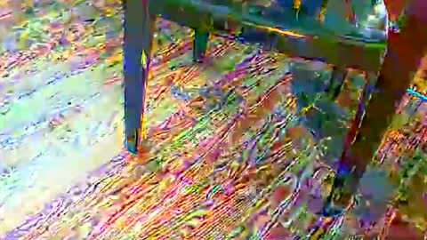 69forever453443 online show from 11-24-25, 01:55