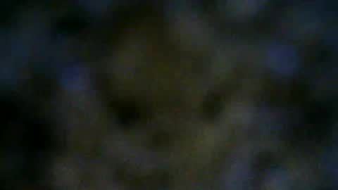 Snapshot of 77lilu chatting on 06-18-26, 10:03 Lilu online show from 06-18-26, 10:03