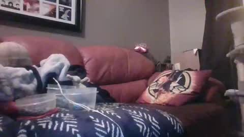 Snapshot of 7inchking269 chatting on 02-28-26, 02:45 7inchking269 online show from 02-28-26, 02:45