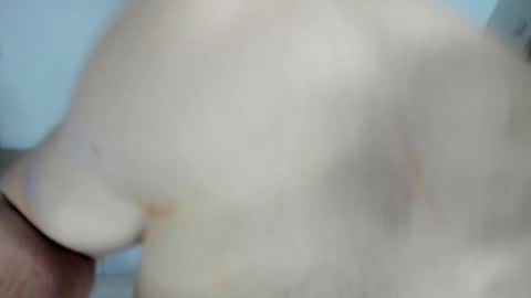 Alex online show from 01-28-25, 12:54