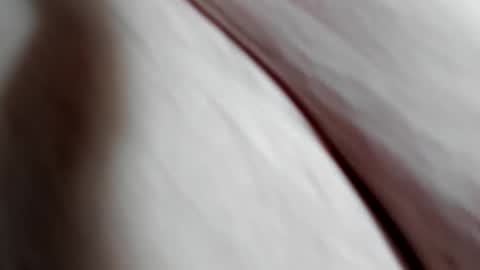 _all_access_ online show from 01-23-25, 05:13