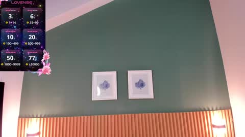 Snapshot of _anavictoria_ chatting on 01-31-25, 01:54 Ana Victoria online show from 01-31-25, 01:54