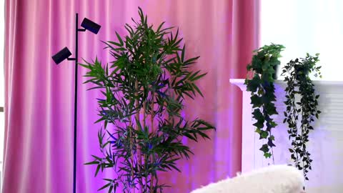 Arielle online show from 12-19-24, 01:07