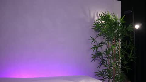 Arielle online show from 03-20-26, 08:08