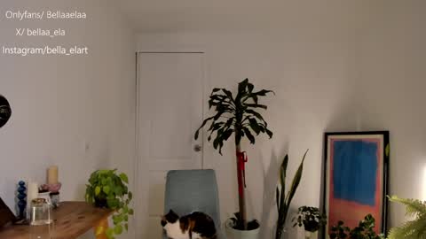 Snapshot of _bellaela chatting on 12-10-24, 12:50 Ella online show from 12-10-24, 12:50