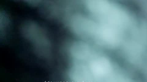 _black_horse_1 online show from 05-15-26, 11:56