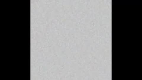 Brenda online show from 02-19-25, 12:33