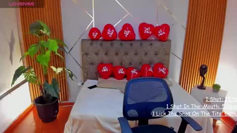 Snapshot of _coraliinee_ chatting on 02-14-26, 04:53 Coraline online show from 02-14-26, 04:53