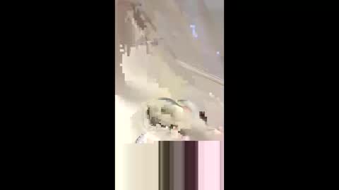 Da d1ck online show from 03-02-25, 06:08