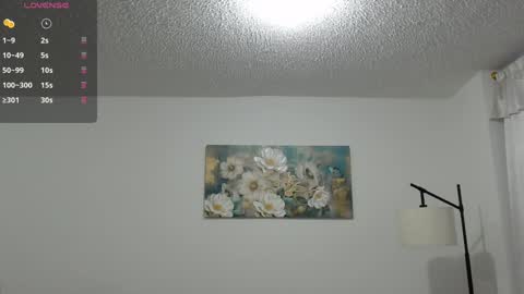 Snapshot of _dakota_j chatting on 01-28-25, 11:07 Your Dakota online show from 01-28-25, 11:07