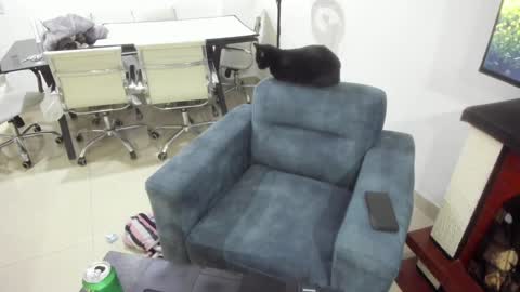 Snapshot of _emma_loyd_ chatting on 01-17-25, 01:15 Emma online show from 01-17-25, 01:15