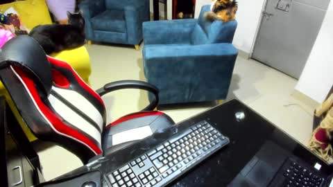 Snapshot of _emma_loyd_ chatting on 02-07-25, 12:53 Emma online show from 02-07-25, 12:53