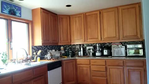 Snapshot of _frankie_rivers chatting on 03-06-25, 10:58 Frankie Rivers allmylinks online show from 03-06-25, 10:58