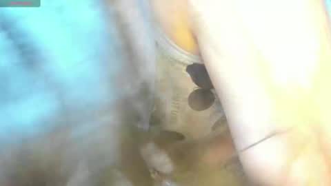 Snapshot of _litle_mily_ chatting on 02-15-25, 09:15 Mily online show from 02-15-25, 09:15