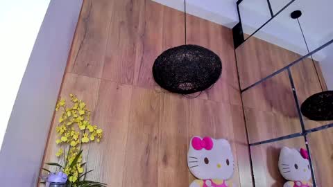 Snapshot of _littlelia chatting on 01-17-25, 11:49 Anna online show from 01-17-25, 11:49