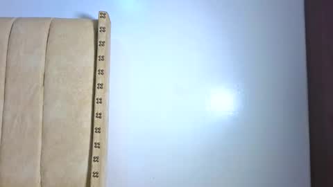 Littlevenus online show from 02-03-26, 02:53