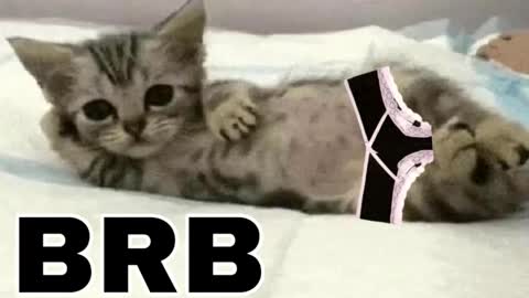 miko3 online show from 02-01-26, 10:30