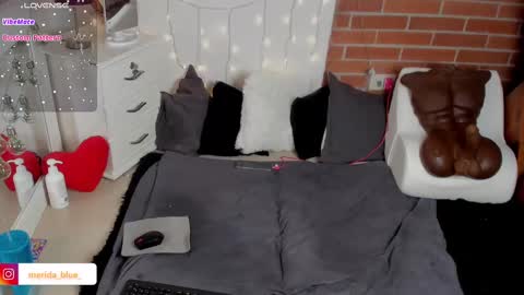 Snapshot of _merida_blue chatting on 02-18-25, 04:37 Merida independet model online show from 02-18-25, 04:37