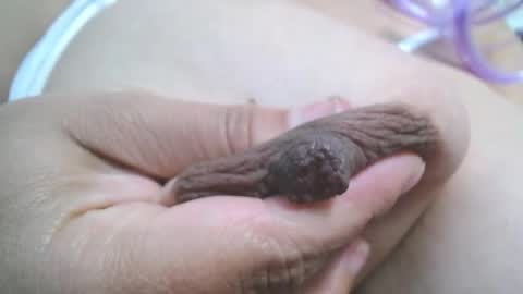 Snapshot of _miaaleon chatting on 03-07-25, 07:27 Mia online show from 03-07-25, 07:27