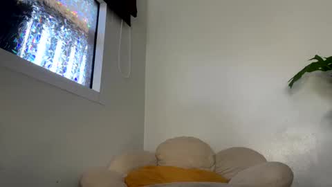 Snapshot of _morpho_ chatting on 01-29-25, 05:09 Francine Aisi Morpho - a genus of blue butterflies. online show from 01-29-25, 05:09