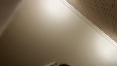 Francine Aisi Morpho - a genus of blue butterflies. online show from 12-21-25, 08:49