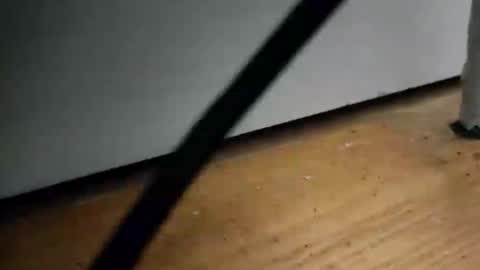 _nicetobehere_ online show from 01-16-26, 01:04