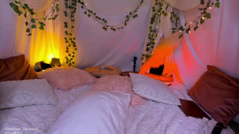 Olivia Wolf  online show from 12-20-24, 09:28