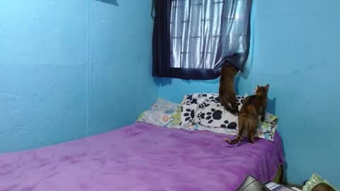 Snapshot of _sammanttha chatting on 02-26-25, 06:21 Sammy online show from 02-26-25, 06:21