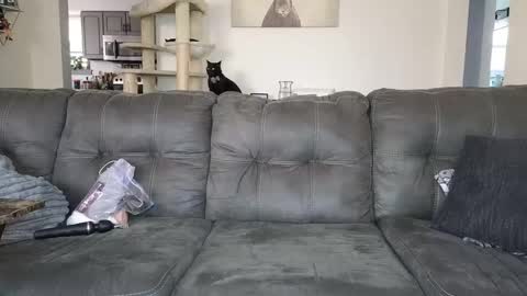 SophiaGraceKnight online show from 11-12-25, 05:13