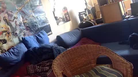 Sven online show from 10-03-25, 11:07