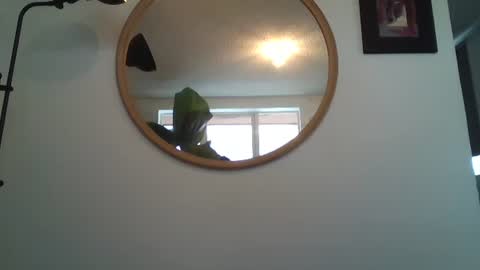 _tutti_frutti_ online show from 07-12-26, 07:16