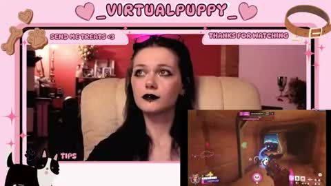 puppy online show from 08-07-26, 11:51