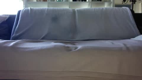 a_nice_dick_77 online show from 04-16-26, 07:31